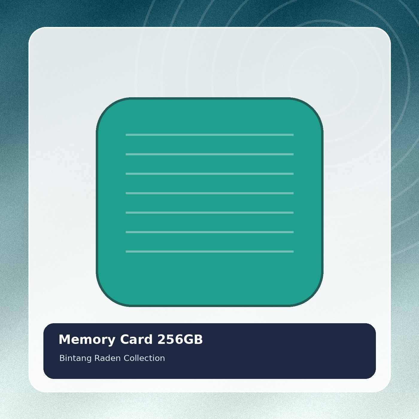 Memory Card 256GB